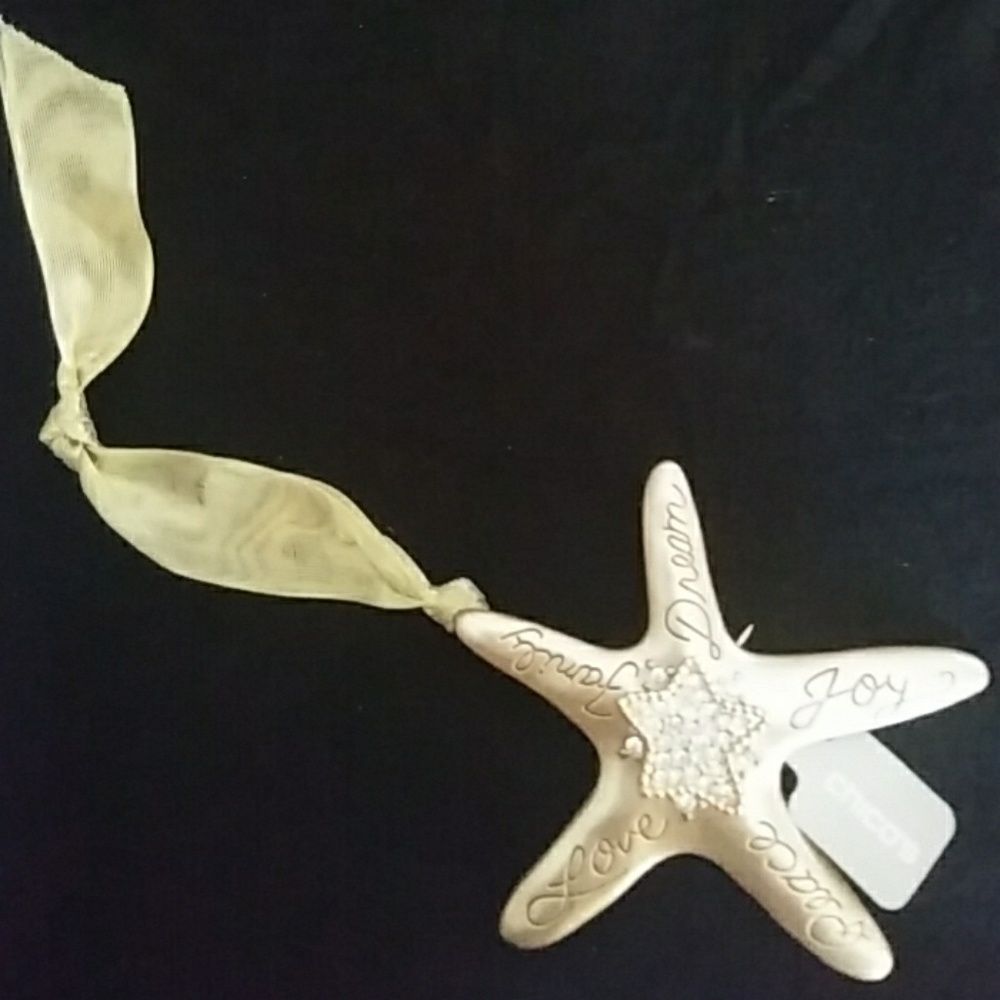 Chico's golden Star Brooch